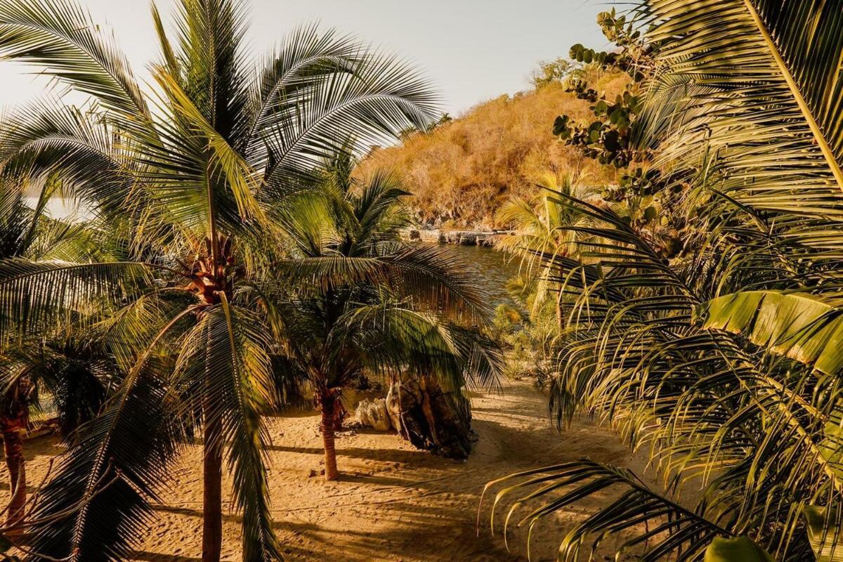 Dream Villa With Private Beach And Catering Zihuatanejo Exterior foto